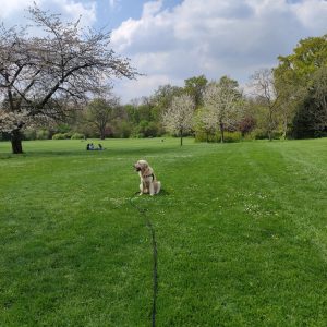 IMG_20230418_133025 - Copie