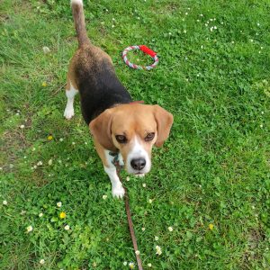 IMG_20230427_095142 - Copie